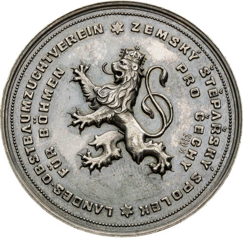 Coin-front