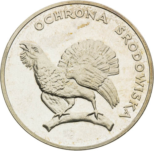 Coin-back