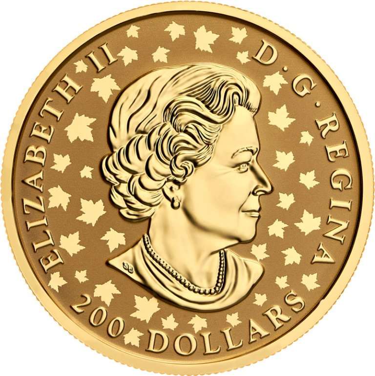 Investičné zlato Maple Leaf - 1 unca (25. výročie)